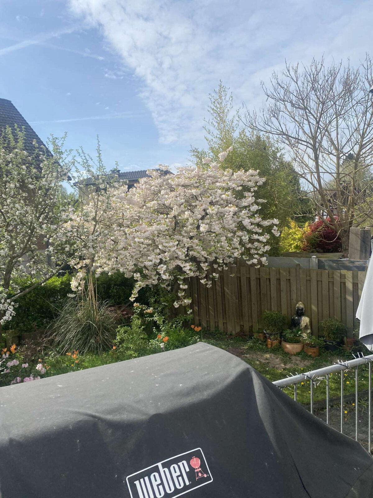 Ausblick