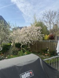Ausblick