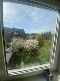 Ausblick OG