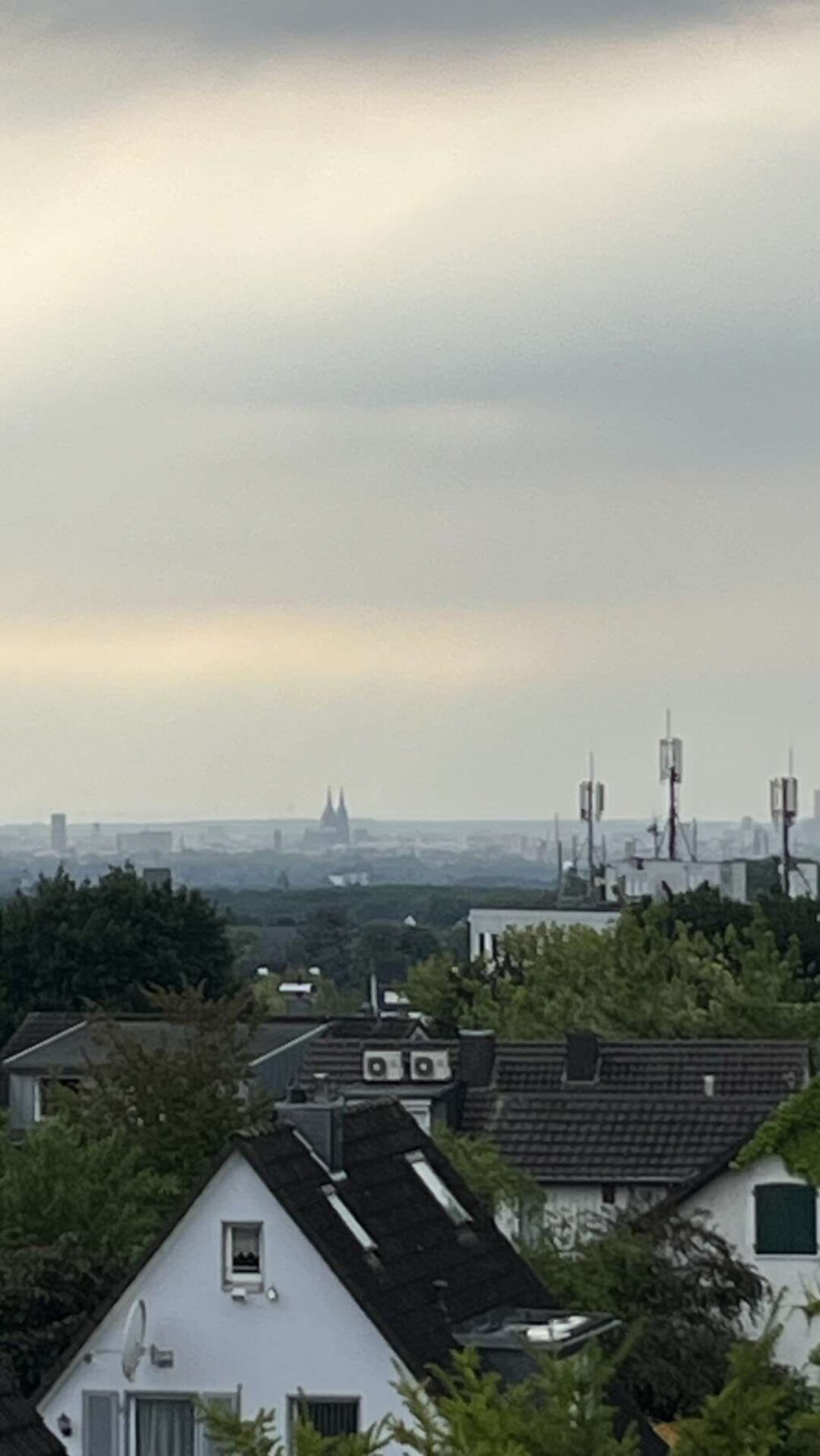 Domblick