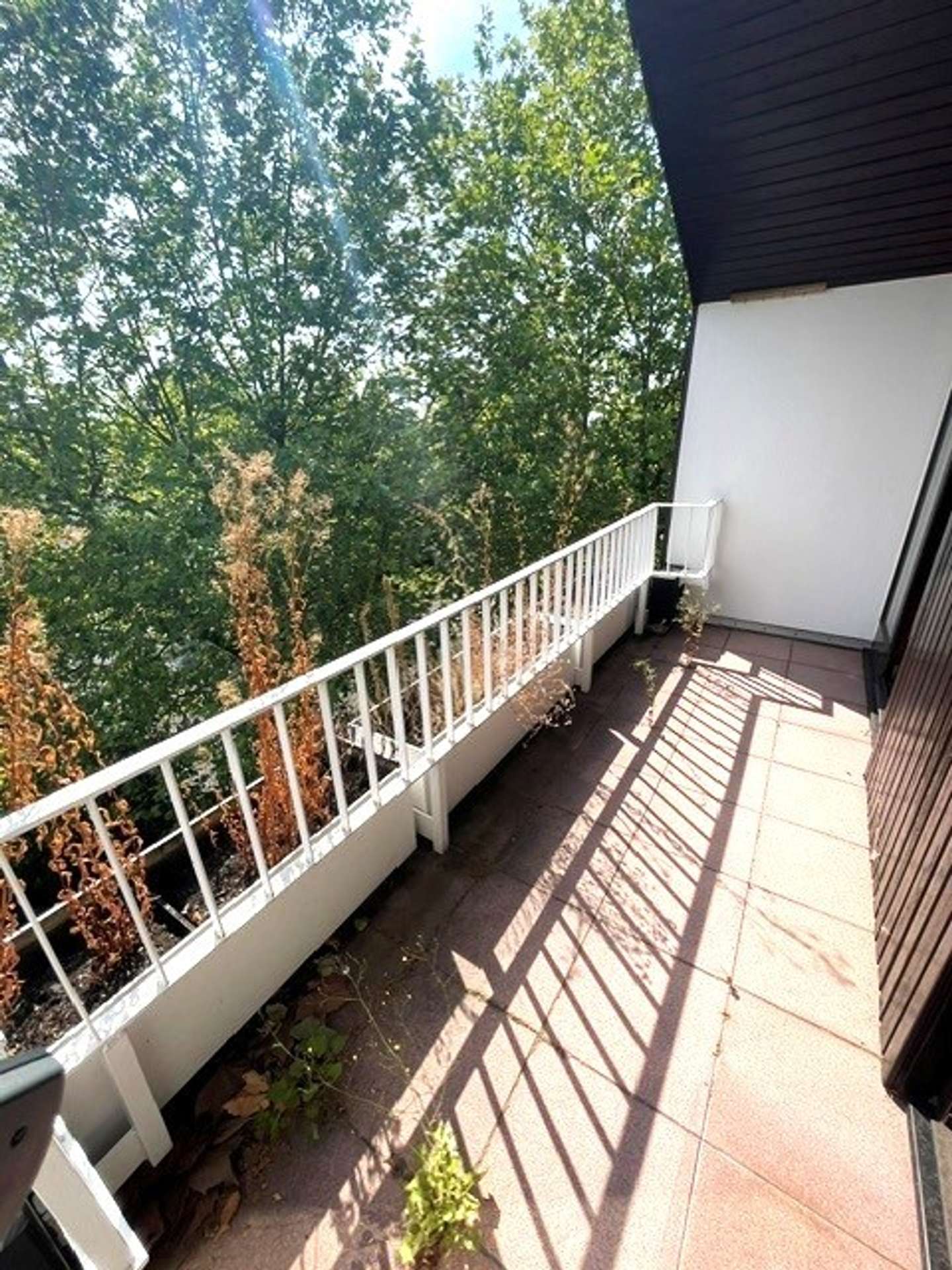 2. Balkon