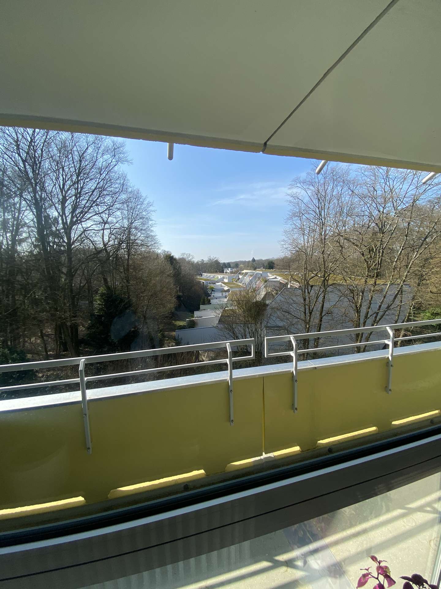Ausblick