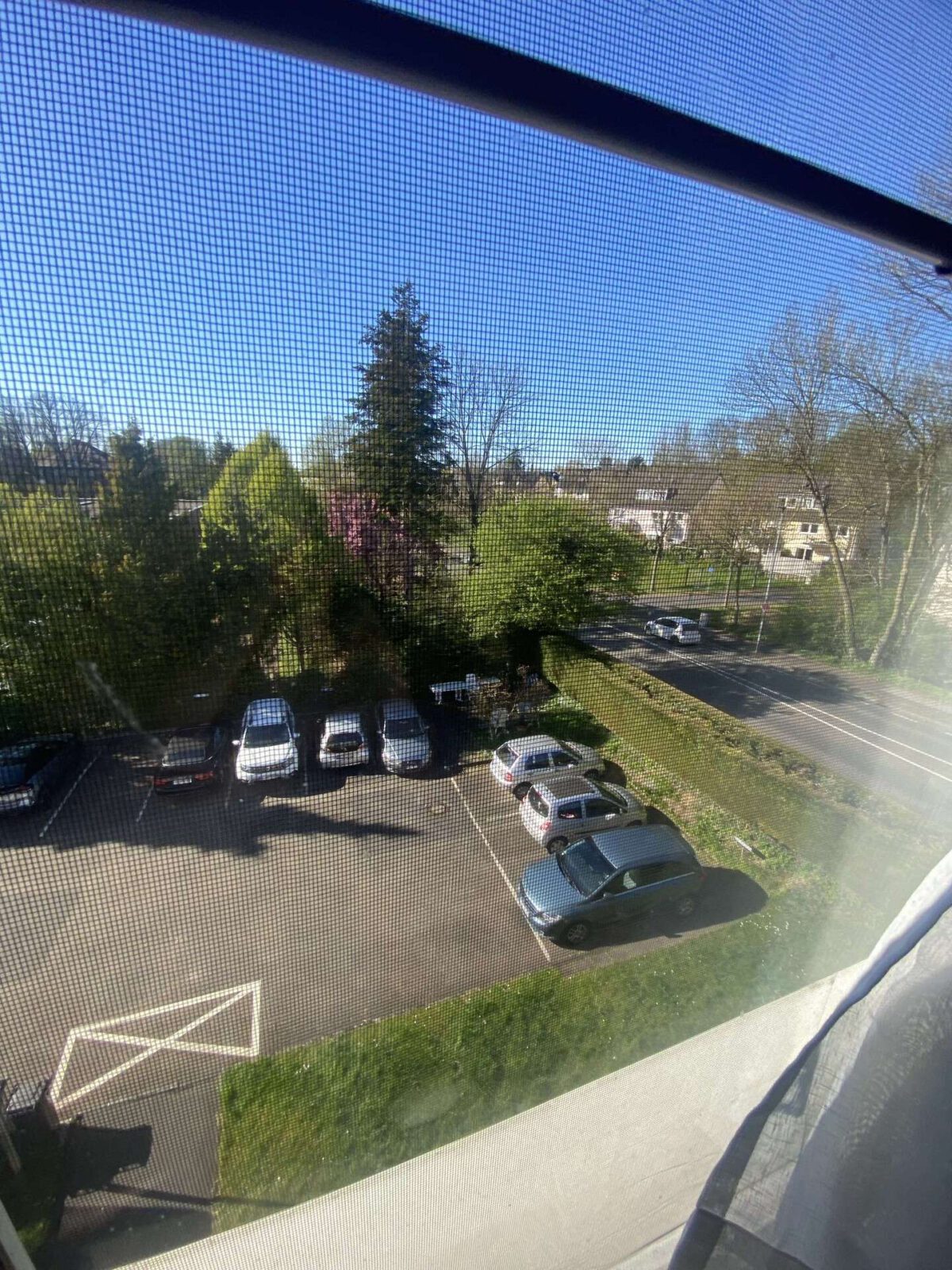 Ausblick