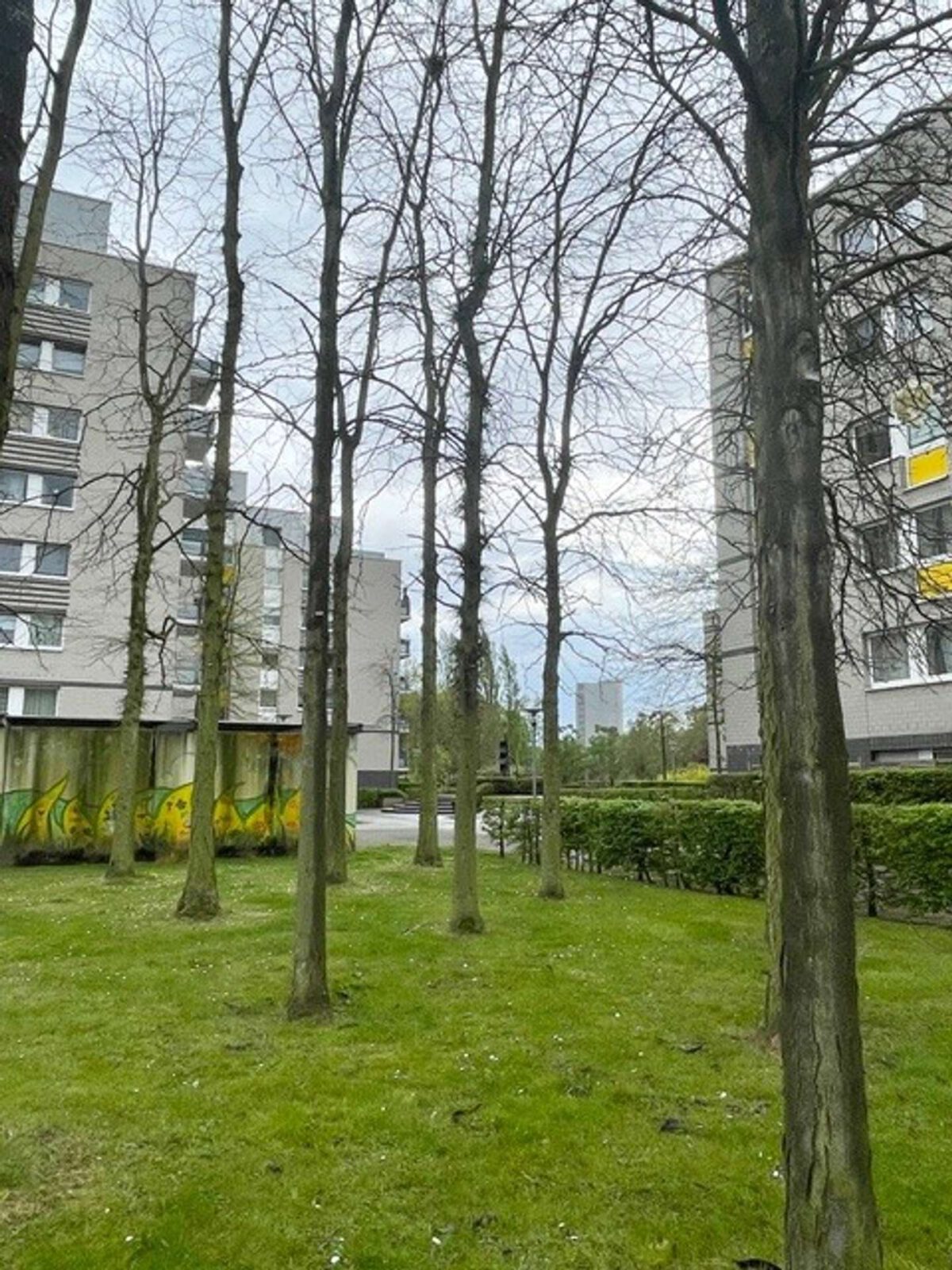 Umliegende Objekte