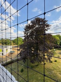 Blick Balkon